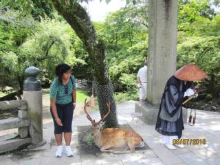 cervi-e-monaco-nara