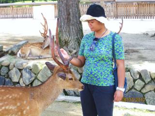 cervi-nara