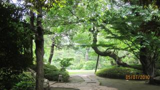 giardino