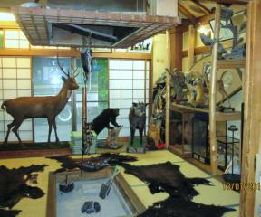 museo-onsen