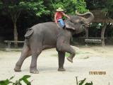 img_1777